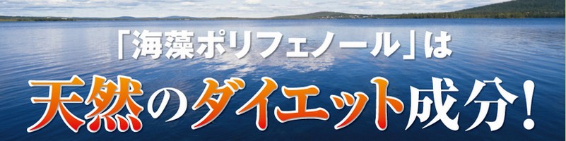 �����r�^�~���y�}���`�|���t�F�m�[���z���T�C�g